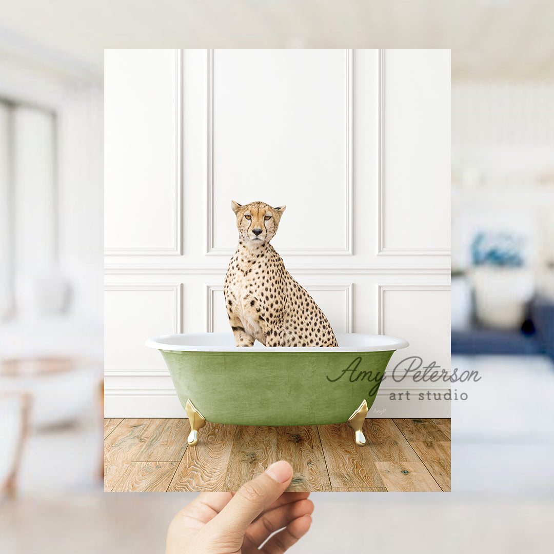 a hand holding a photo of a cheetah sitting in a bathtub