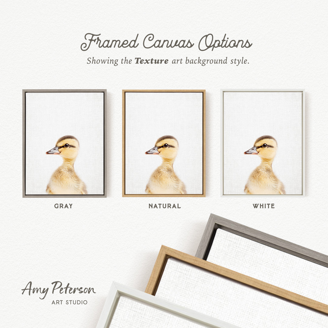 three framed canvas options, each with a different background color: gray, natural, and white. The text above the options reads " Framed Canvas Options" and "Showing the Texture art background style." The text below the options reads "Grays," "NATURAL," and "WHITE." The artist's name, Amy Peterson, is also mentioned at the bottom of the image.