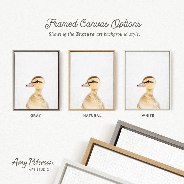 three framed canvas options, each with a different background color: gray, natural, and white. The text above the options reads " Framed Canvas Options" and "Showing the Texture art background style." The text below the options reads "Grays," "NATURAL," and "WHITE." The artist's name, Amy Peterson, is also mentioned at the bottom of the image.