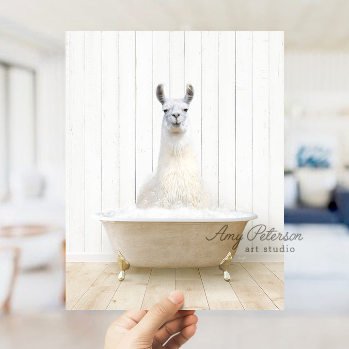 a llama sitting in a bathtub with foam on it