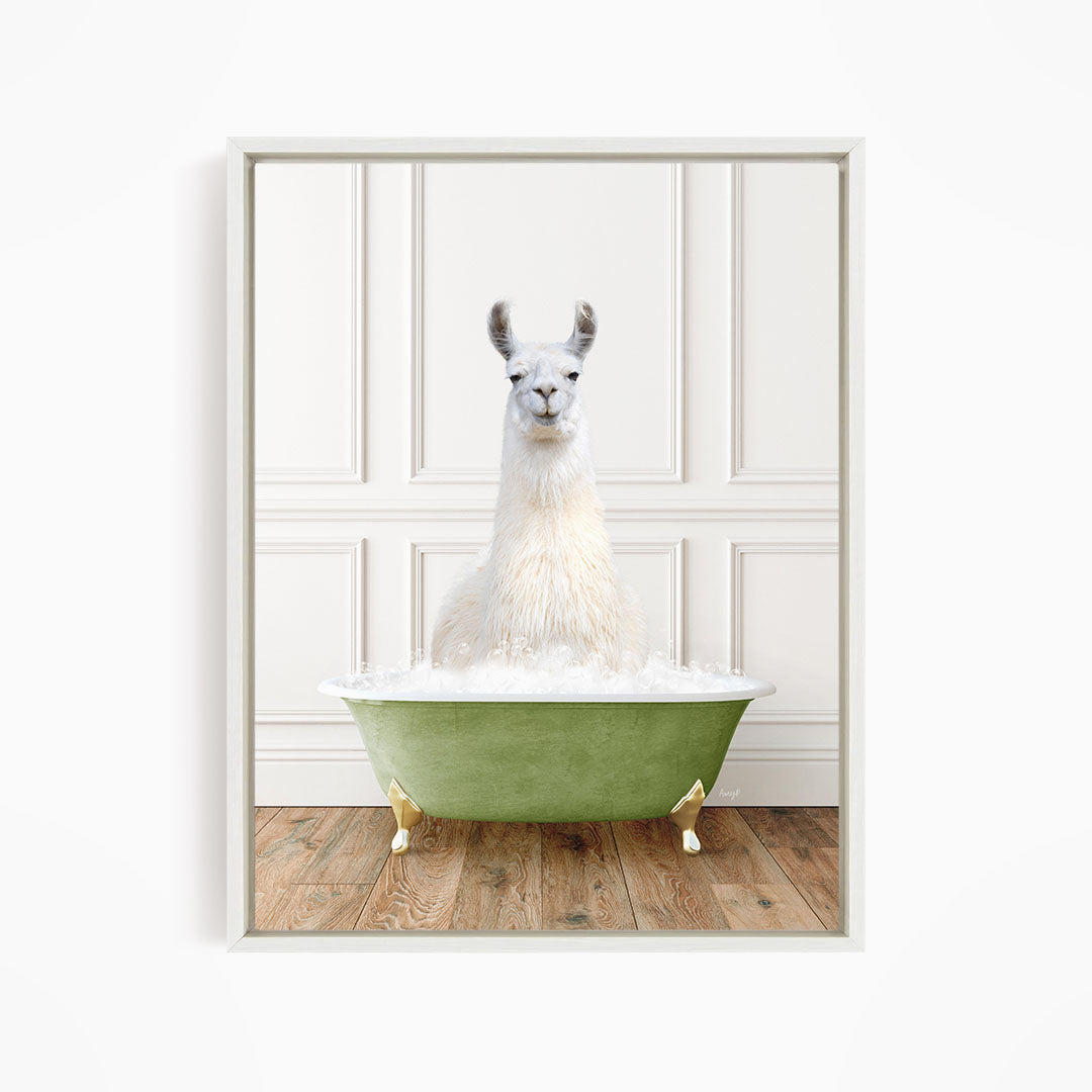 A white llama sitting in a green bathtub filled with bubbles, with a white wall and wooden floor in the background.
