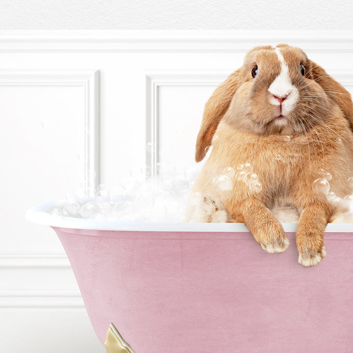 a rabbit sitting in a bathtub full of bubbles