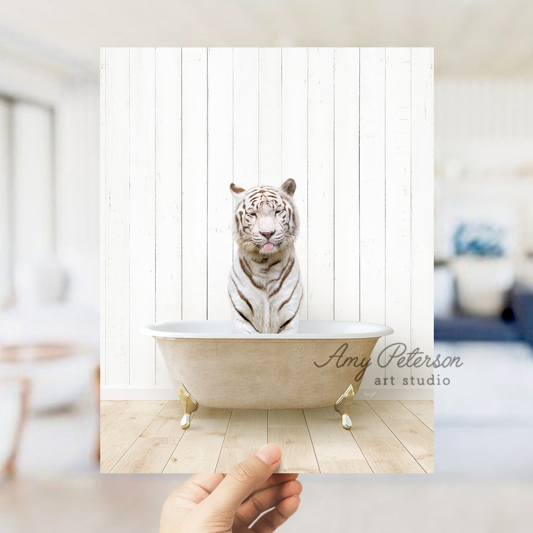 a hand holding up a photo of a white tiger in a bathtub