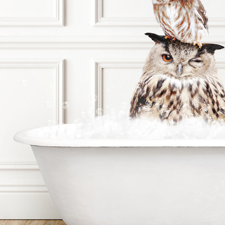 an owl sitting on top of another owl in a bathtub