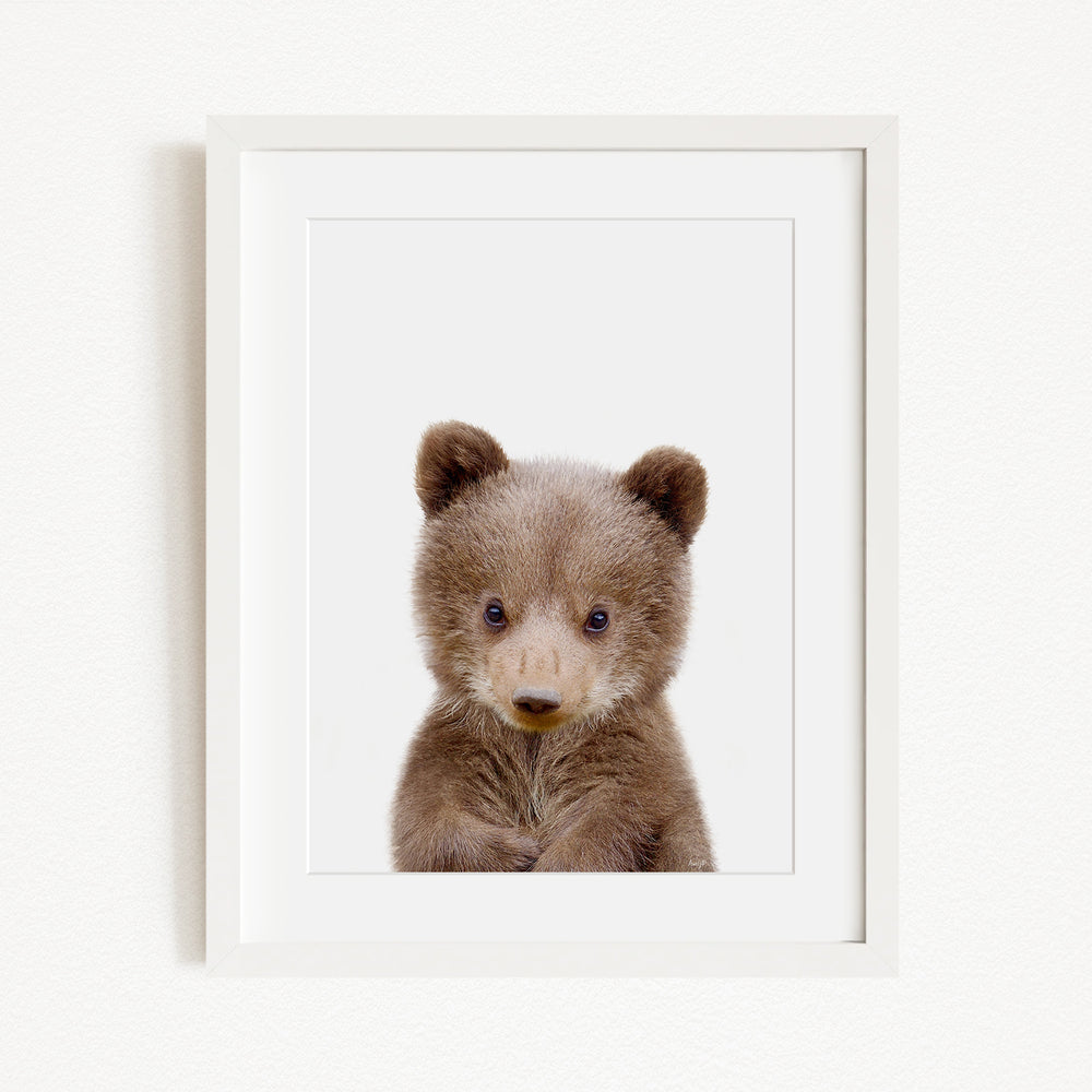 A cute baby bear with large eyes and a small nose is the focus of the image, which is a framed print.