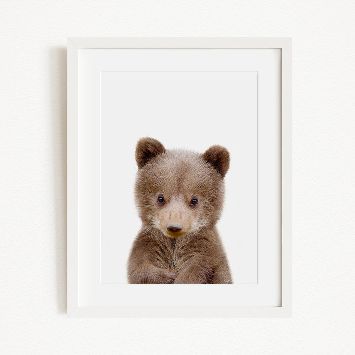 A cute baby bear with large eyes and a small nose is the focus of the image, which is a framed print.