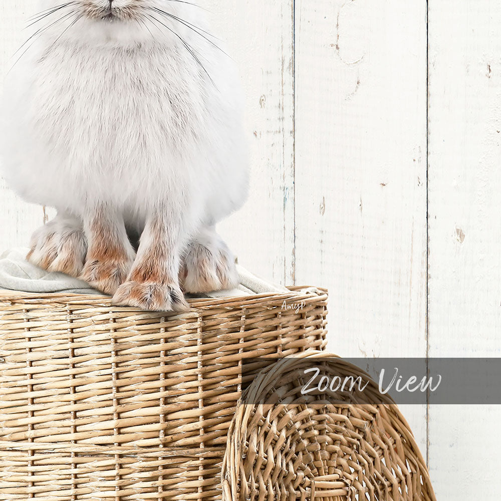 A fluffy white cat sits atop a woven basket, with a wooden wall in the background.