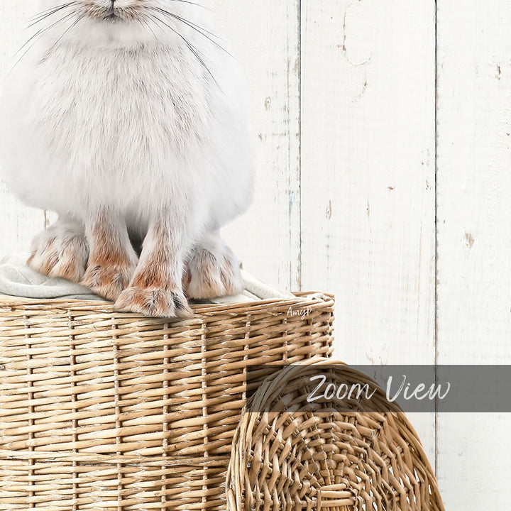 A fluffy white cat sits atop a woven basket, with a wooden wall in the background.