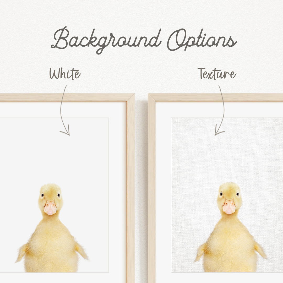 a cute yellow duck with a white background, and there are two options for the background texture: white and textured.