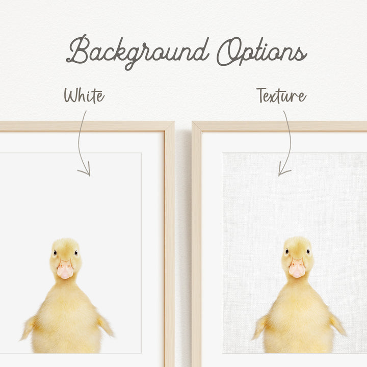 a cute yellow duck with a white background, and there are two options for the background texture: white and textured.