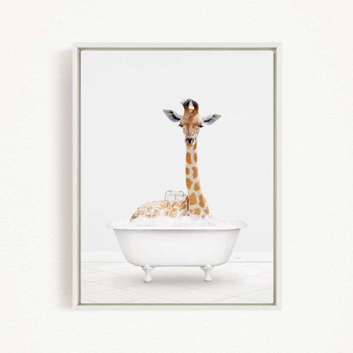 A giraffe sitting in a white bathtub filled with bubbles, looking directly at the camera.