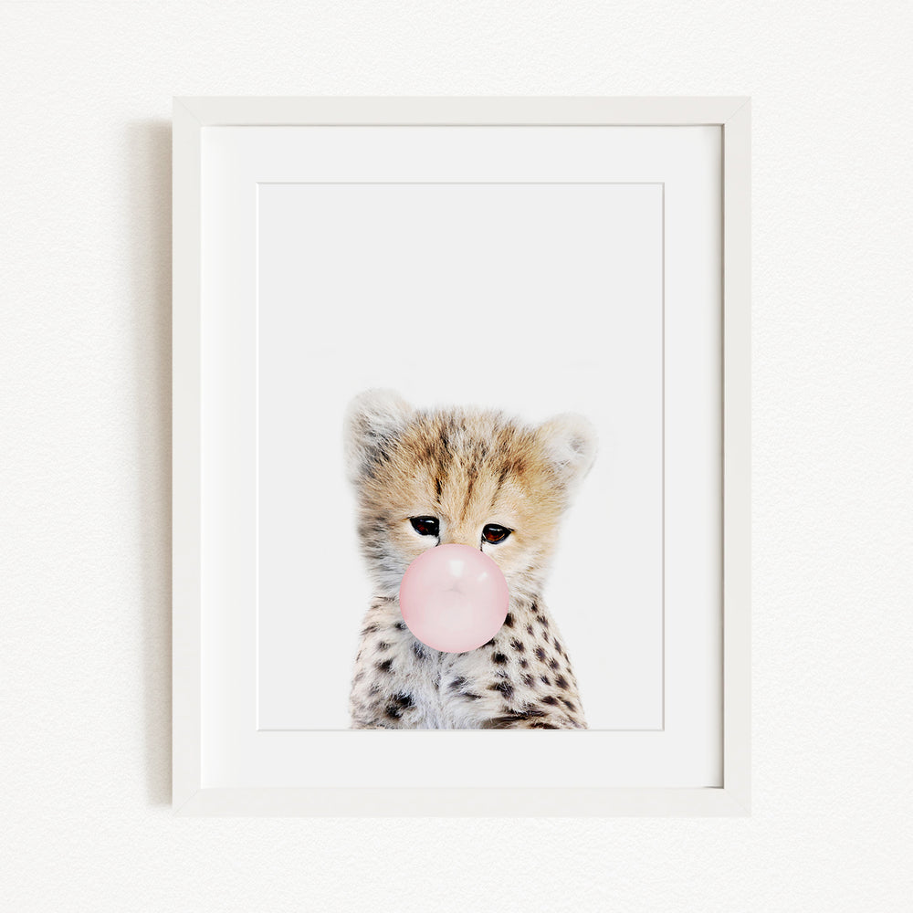 A cute cheetah with spotted fur blowing a bubble with a pink bubble gum bubble.