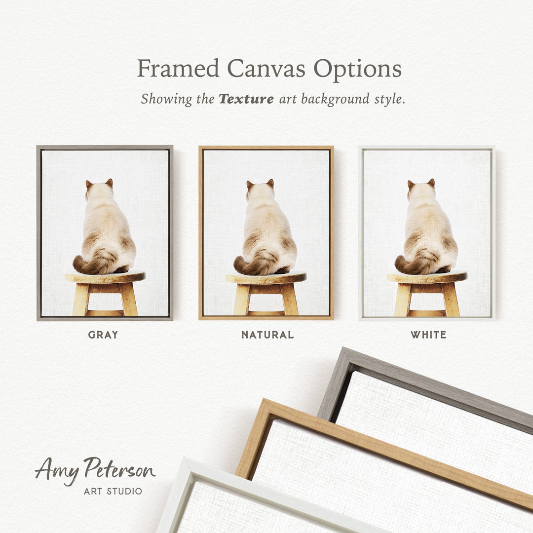 three framed canvas options, each with a different background color: gray, natural, and white. The text above the images reads " Framed Canvas Options" and "Showing the Texture art background style."
