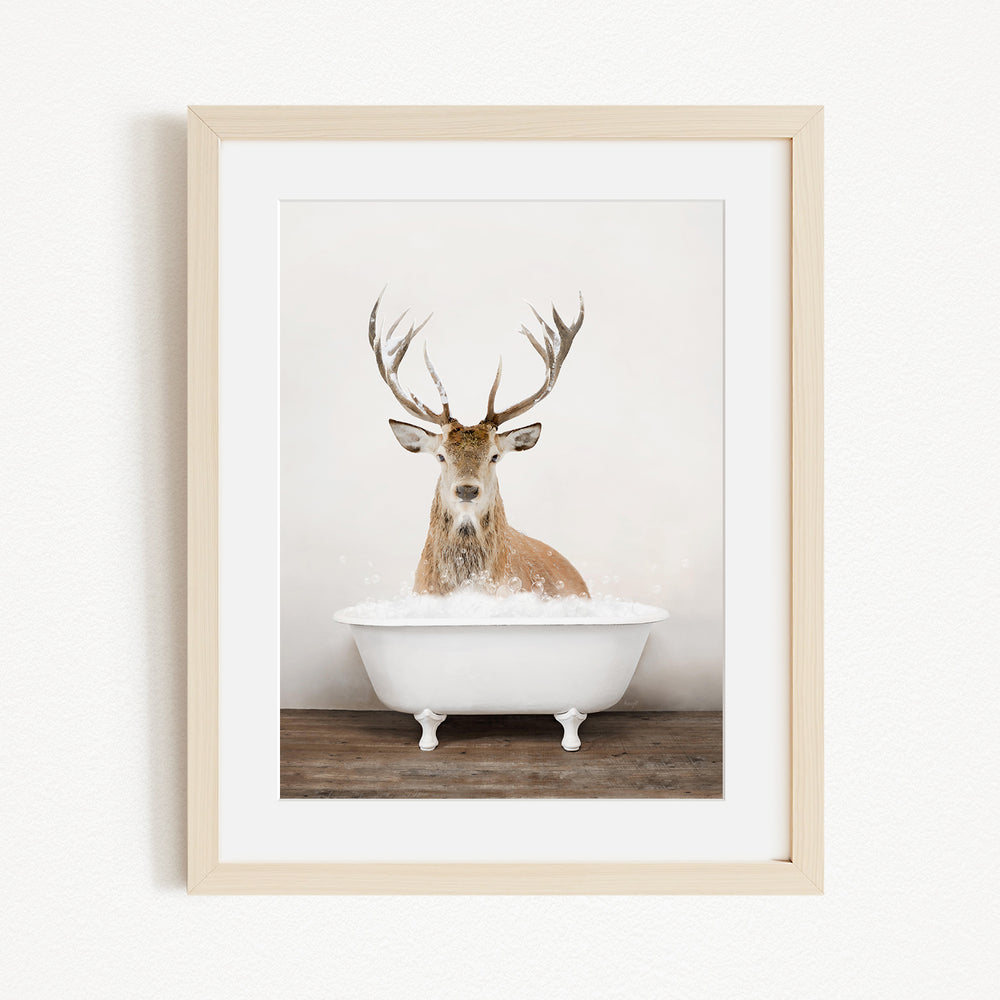 A deer with large antlers is sitting in a white bathtub filled with water, creating a whimsical and unexpected scene.