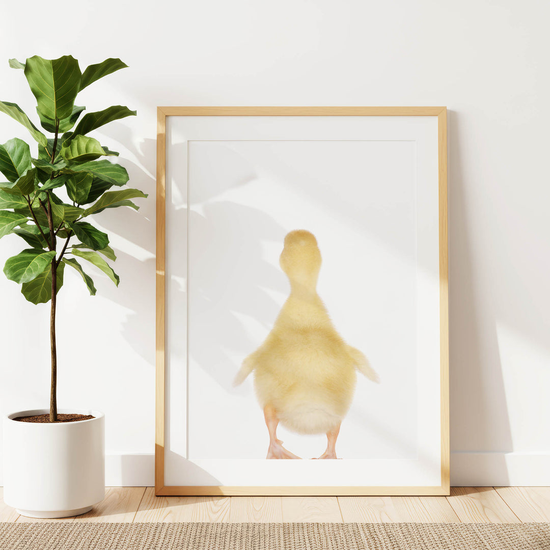 a yellow duck standing in a white frame, placed on a wooden floor next to a potted plant.