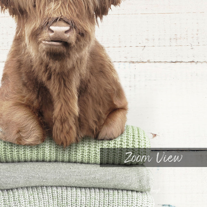 A close-up of a brown dog sitting on a stack of green and gray sweaters, with the text "Zoom View" overlaid on the image.