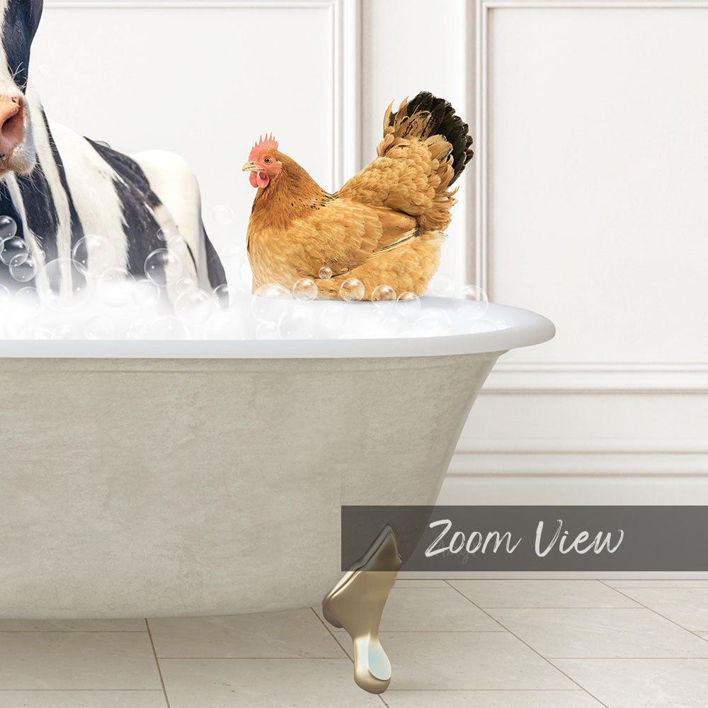 A chicken is sitting in a bathtub filled with bubbles, while a zebra is standing nearby.
