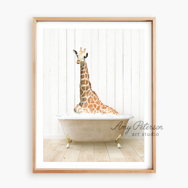 a picture of a giraffe sitting in a bathtub