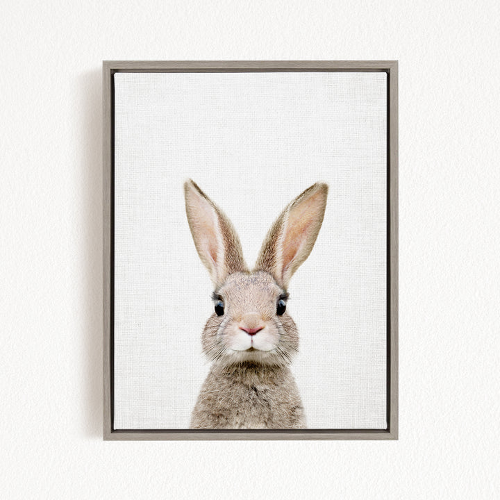 A cute, fluffy rabbit with large ears and a pink nose is the main subject of the framed image.