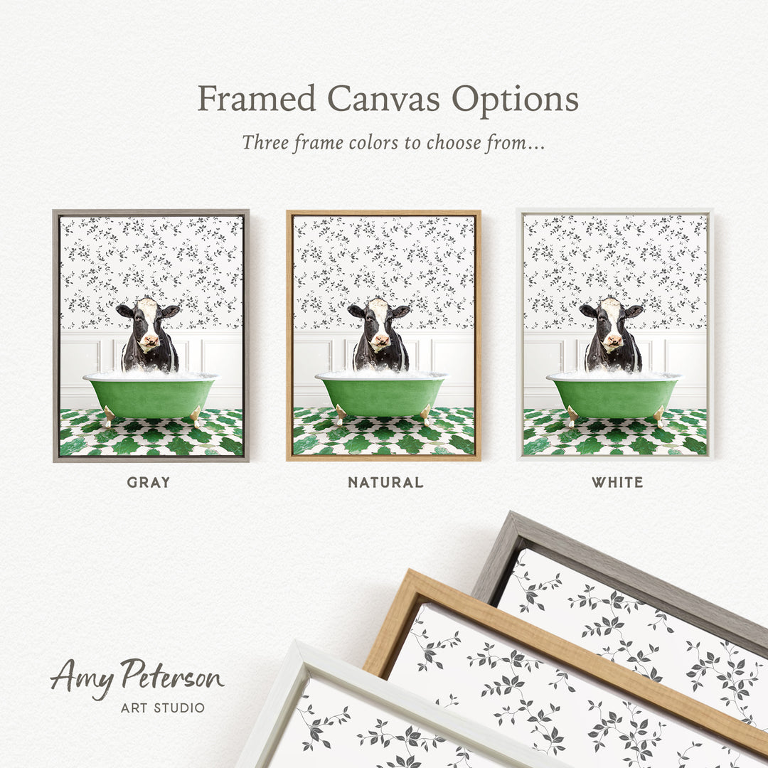The image is a framed canvas option featuring three different framed pictures of a cow sitting in a green bathtub. The cow is depicted in various colors, including gray, natural, and white. The text above the images reads " Framed Canvas Options" and "Three frame colors to choose from...". The bottom of the image includes the text " Amy Peterson ART STUDIO".