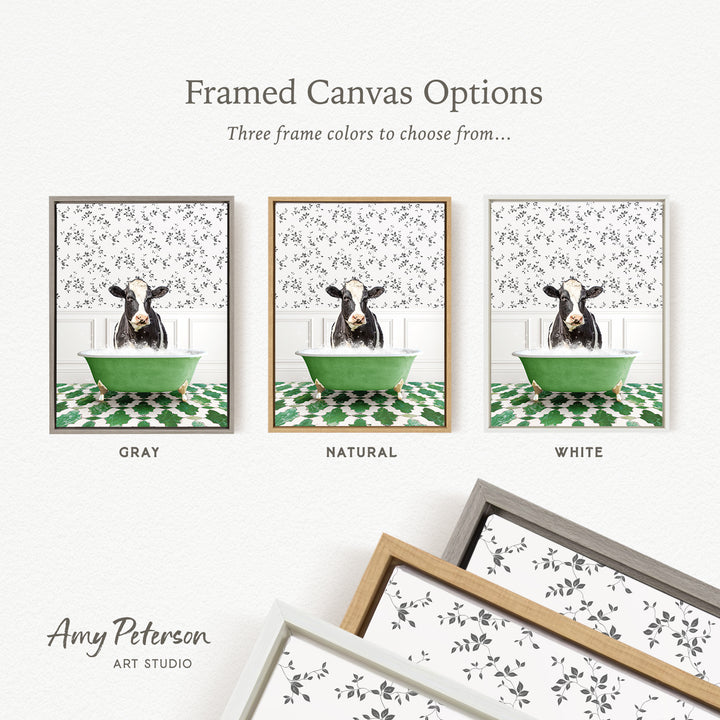 The image is a framed canvas option featuring three different framed pictures of a cow sitting in a green bathtub. The cow is depicted in various colors, including gray, natural, and white. The text above the images reads " Framed Canvas Options" and "Three frame colors to choose from...". The bottom of the image includes the text " Amy Peterson ART STUDIO".