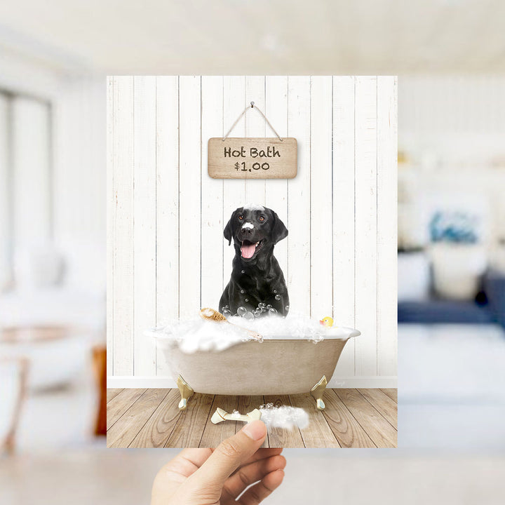 A black dog sitting in a bathtub filled with bubbles, with a sign above the tub indicating a hot bath for $12.00.