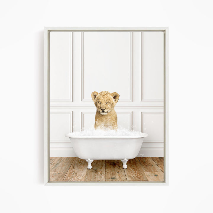 A young lion cub sitting in a white bathtub filled with water, looking up at the camera.