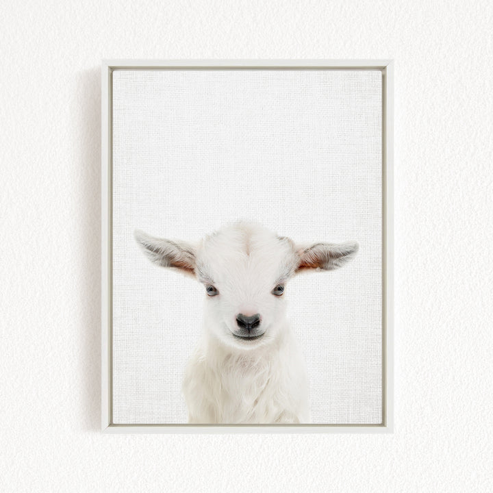 A white lamb with large ears is the focus of the image, which is a framed print of a close-up portrait of a baby goat.