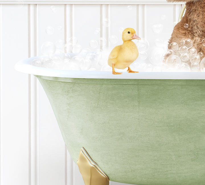 a teddy bear and a duck in a bathtub