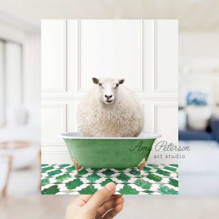 a sheep sitting in a green bath tub