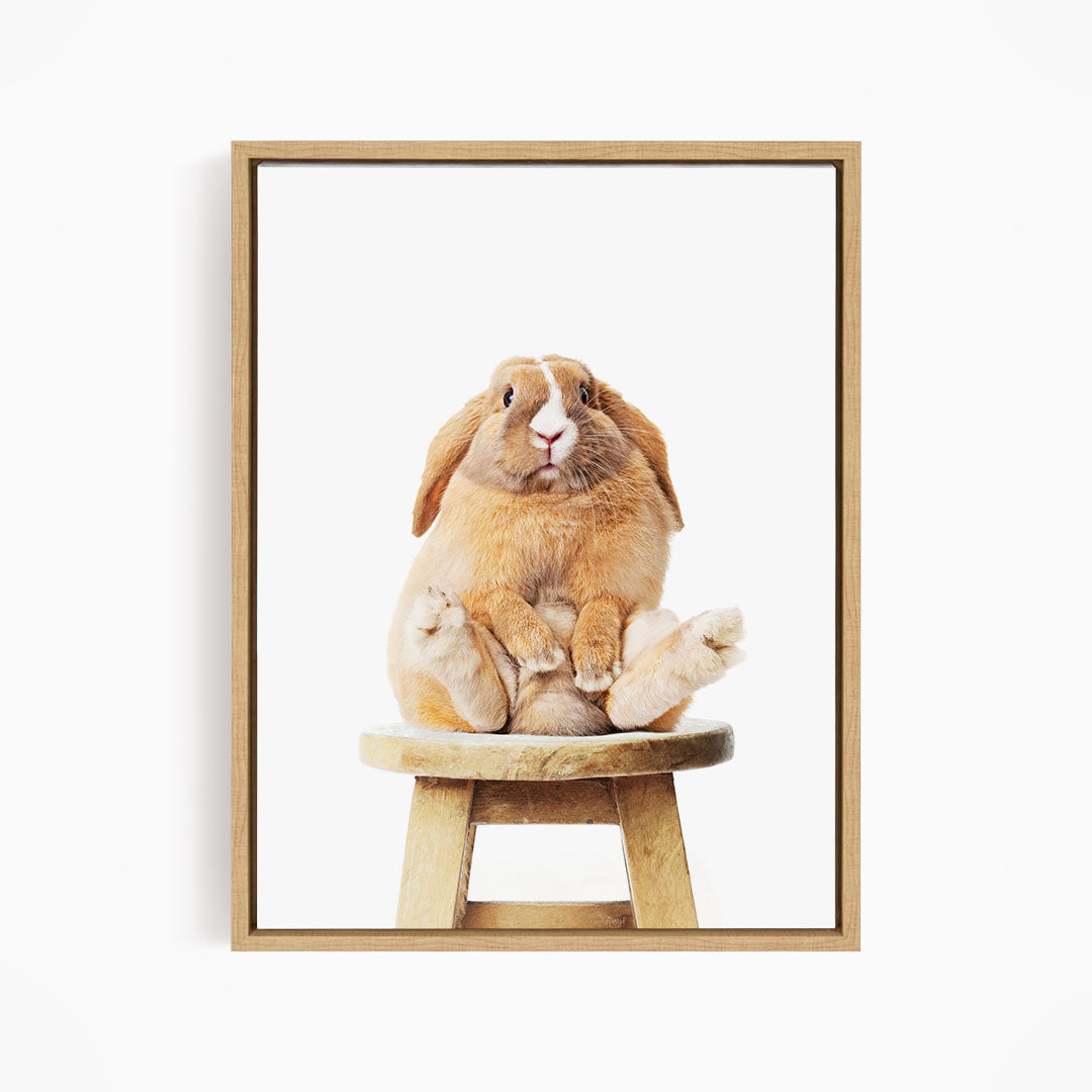 A brown rabbit sitting on a wooden stool, looking up at the camera.