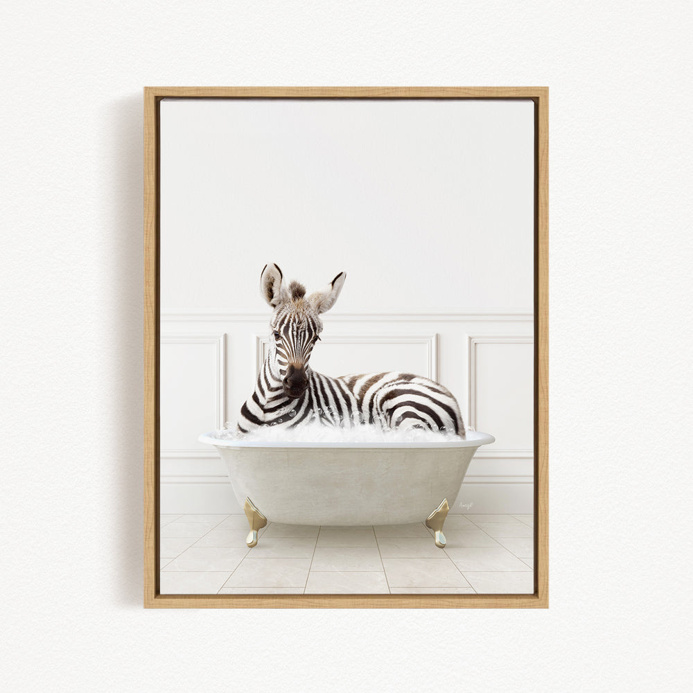 A zebra is sitting in a white bathtub, surrounded by a white wall and floor.
