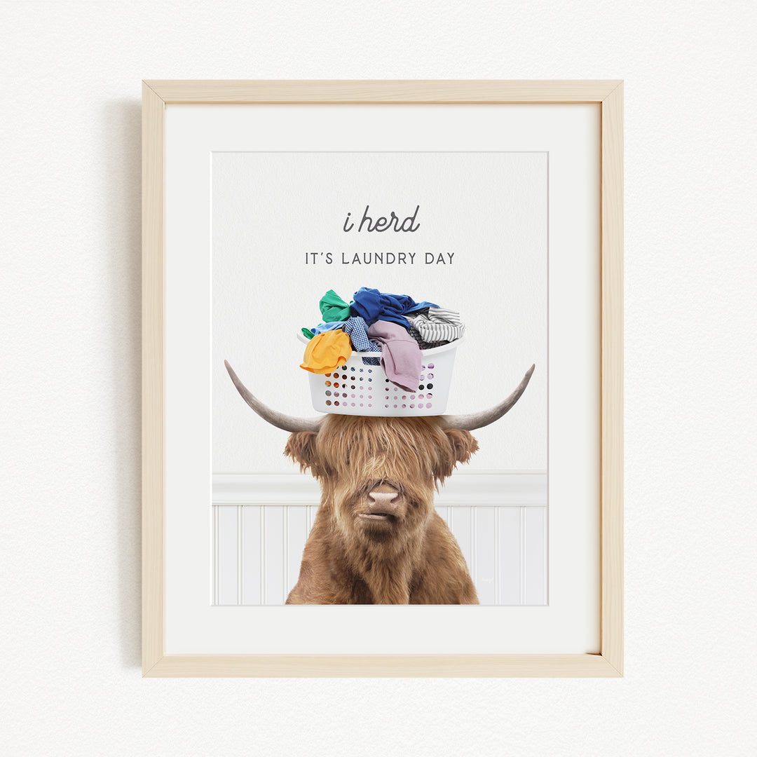 A framed image of a Highland cow with a basket of laundry on its head, accompanied by the text "It's laundry day"