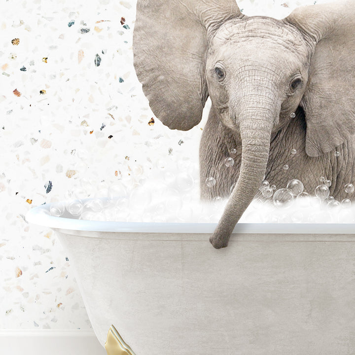 a baby elephant in a bathtub with bubbles