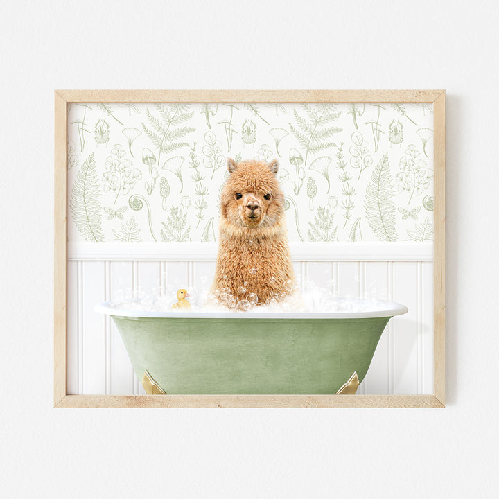 a brown dog sitting in a green bath tub