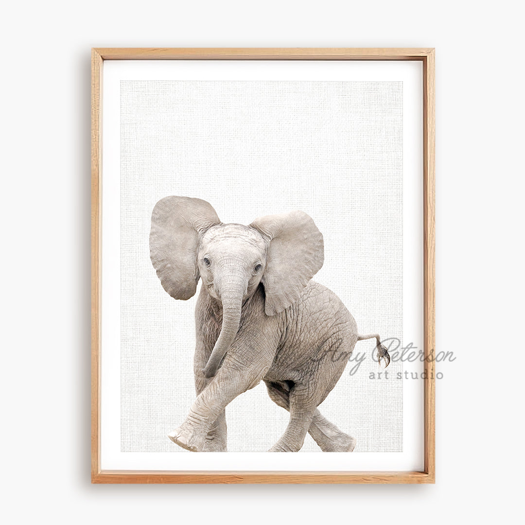 a picture of an elephant in a frame