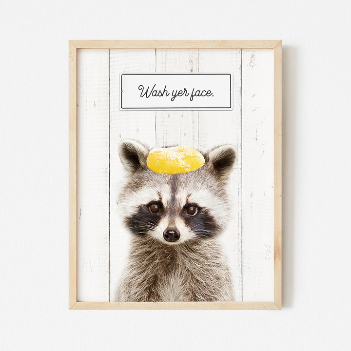 a picture of a raccoon with a lemon on its head