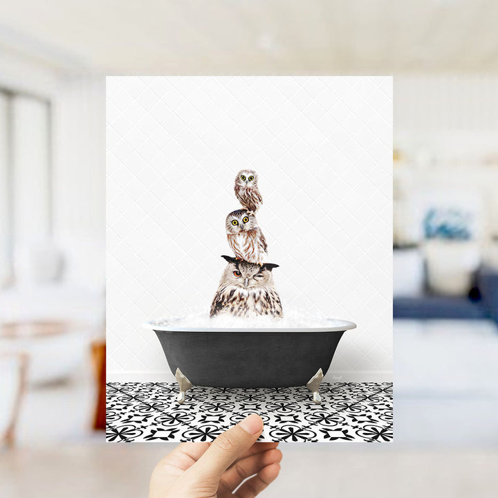 A hand holds up a framed image of three owls sitting in a bathtub, with the owls' heads resting on the rim of the tub.
