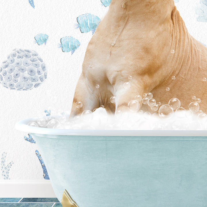 a dog sitting in a bathtub filled with bubbles