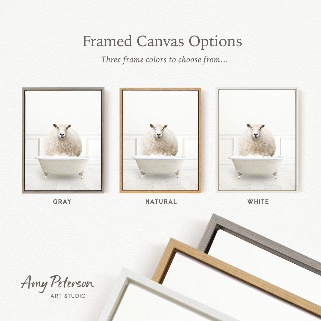 three framed canvas options, each featuring a white sheep in a bathtub. The options include a gray frame, a natural frame, and a white frame.