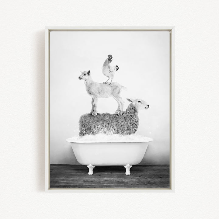 A black and white image depicting three animals - a goat, a chicken, and a sheep - standing on top of a white bathtub filled with water.
