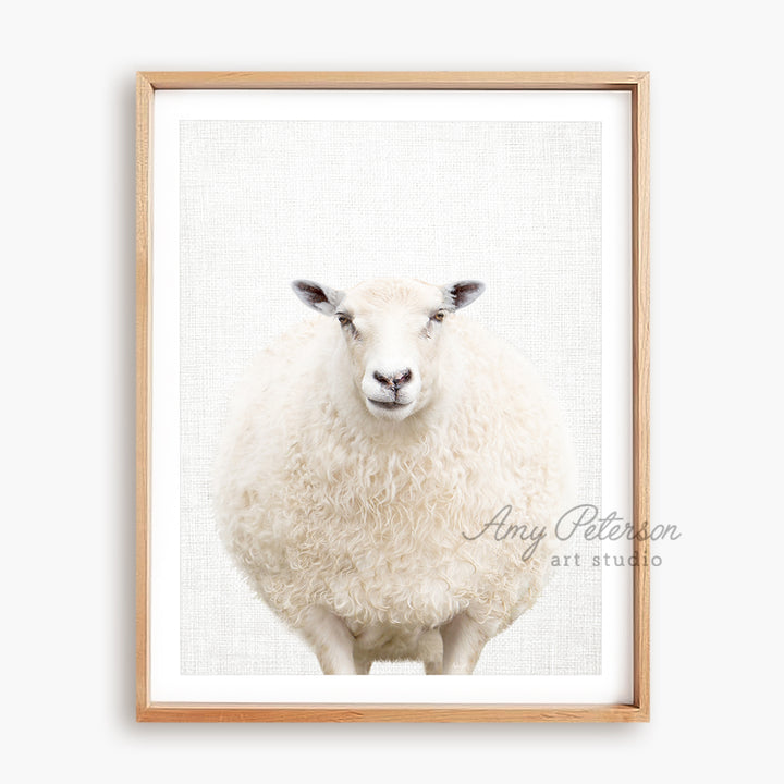 a picture of a sheep in a wooden frame