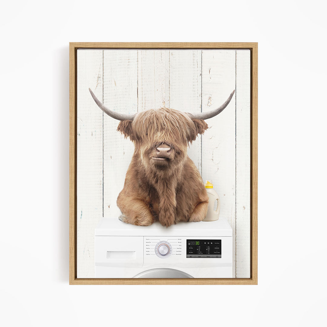 A Highland cow with shaggy fur and large curved horns is sitting on top of a white washing machine with a control panel.