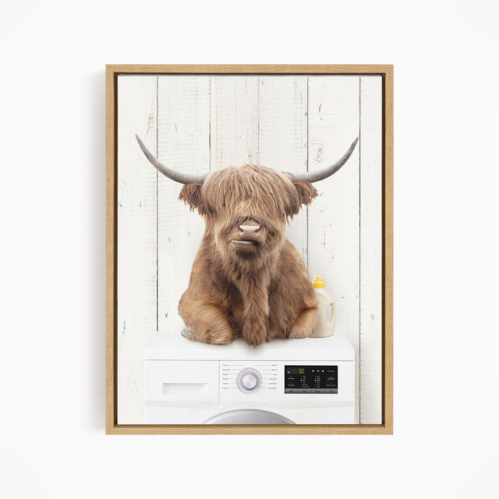 A Highland cow with shaggy fur and large curved horns is sitting on top of a white washing machine with a control panel.