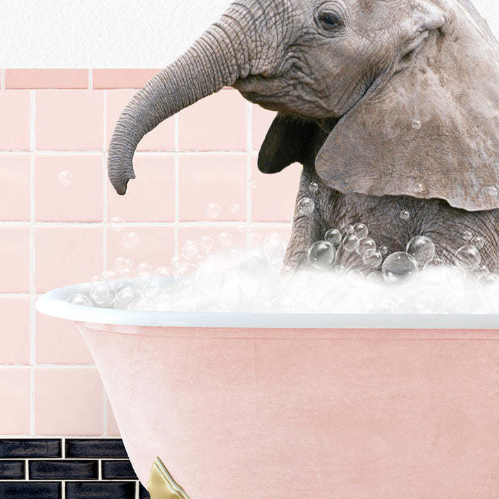 a baby elephant in a bathtub with bubbles