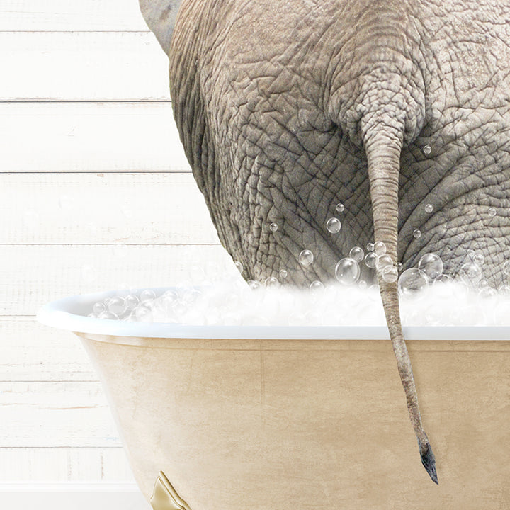 an elephant taking a bath in a bathtub