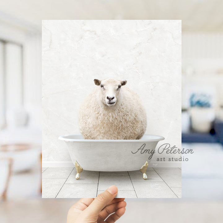 a hand holding a photo of a sheep in a bathtub