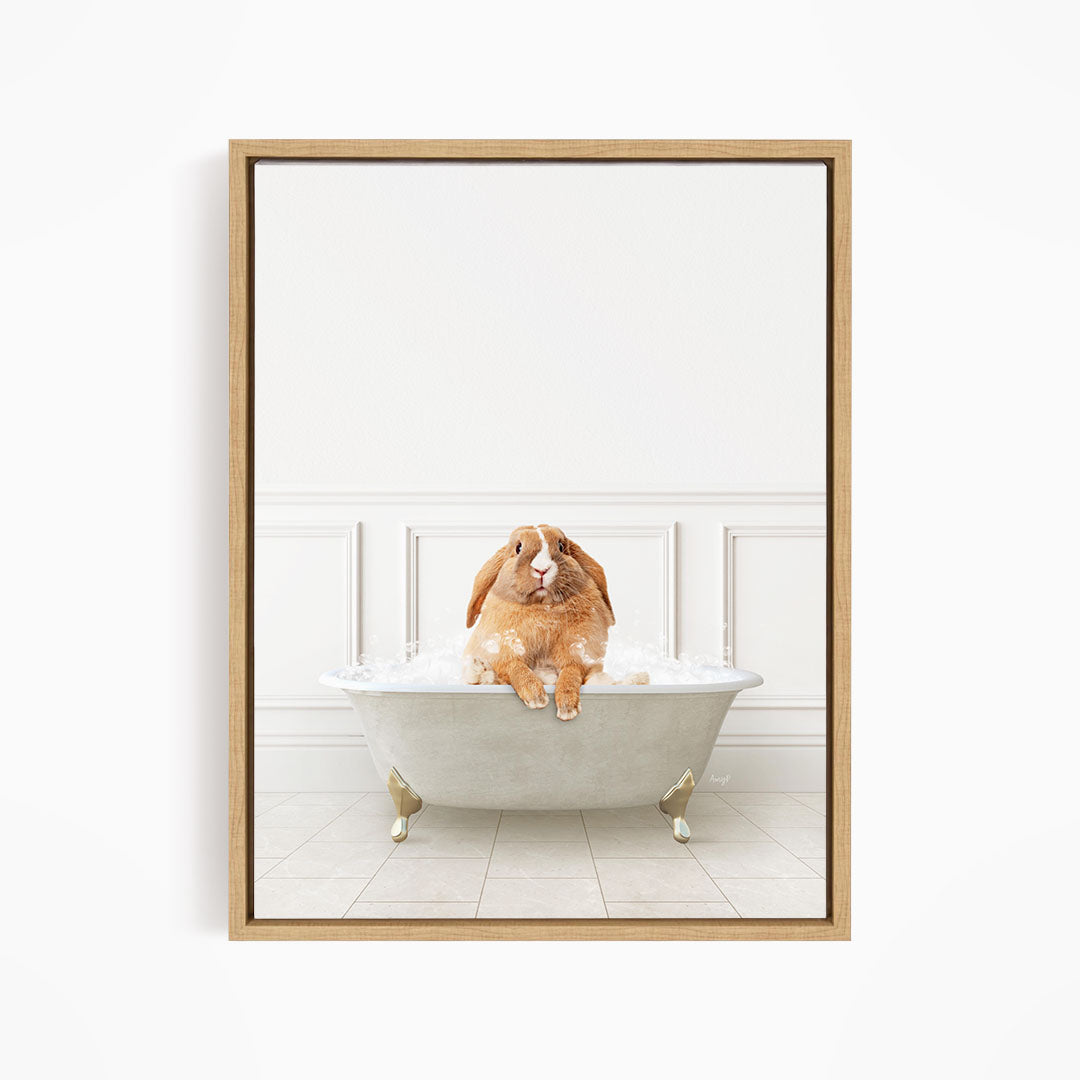A brown rabbit sitting in a white bathtub filled with water, looking up at the camera.