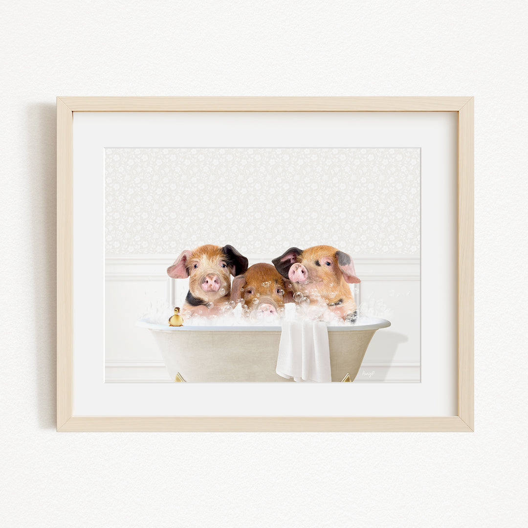 Three adorable pigs sitting in a bathtub filled with bubbles, enjoying a relaxing bath together.