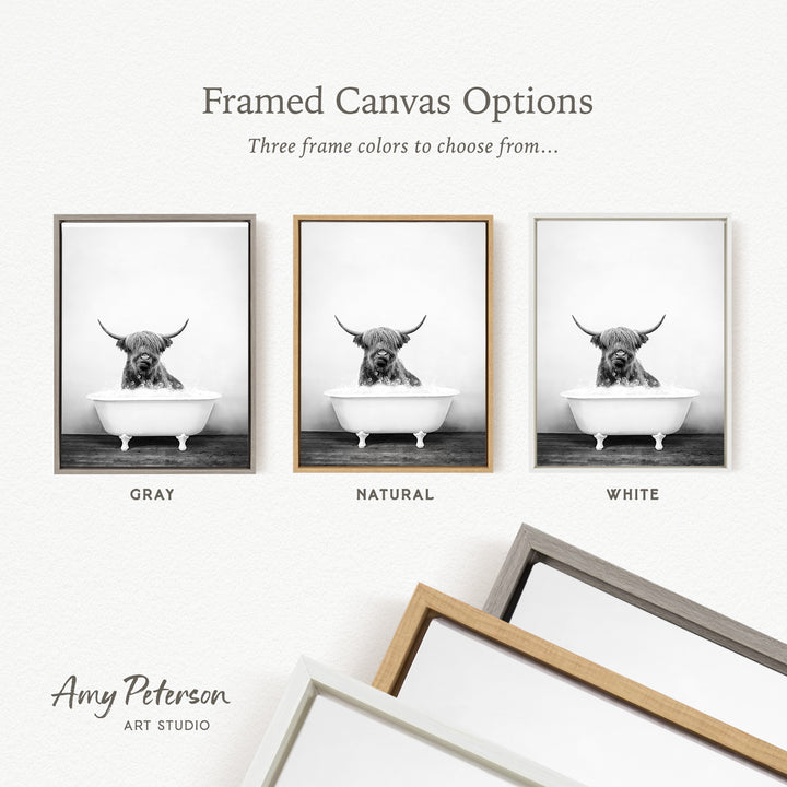 three framed canvas options, each featuring a black and white photograph of a Highland cow sitting in a bathtub. The options include a gray frame, a natural frame, and a white frame.